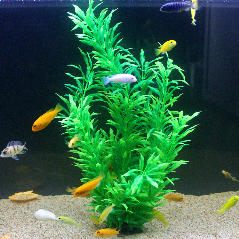 50CM Künstliche Aquarium Selte – Aquarium Fish Saltwater Bewertung und Preis