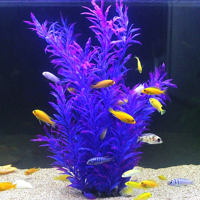 50CM Künstliche Aquarium Selte – Aquarium Fish Saltwater Bewertung und Preis