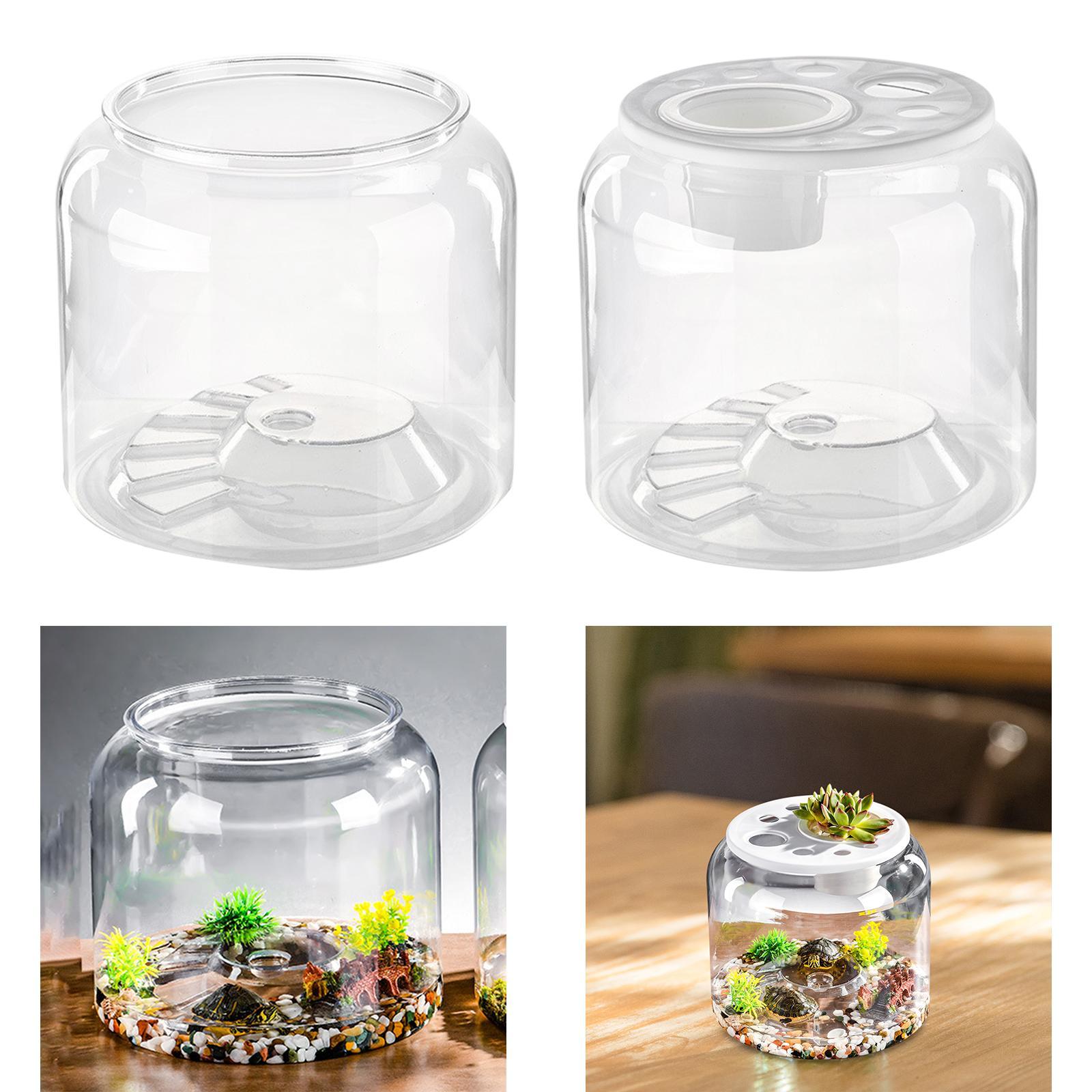 Schildkrötenbecken Tisch-Repti – Draw Fish Aquarium Bewertung und Preis
