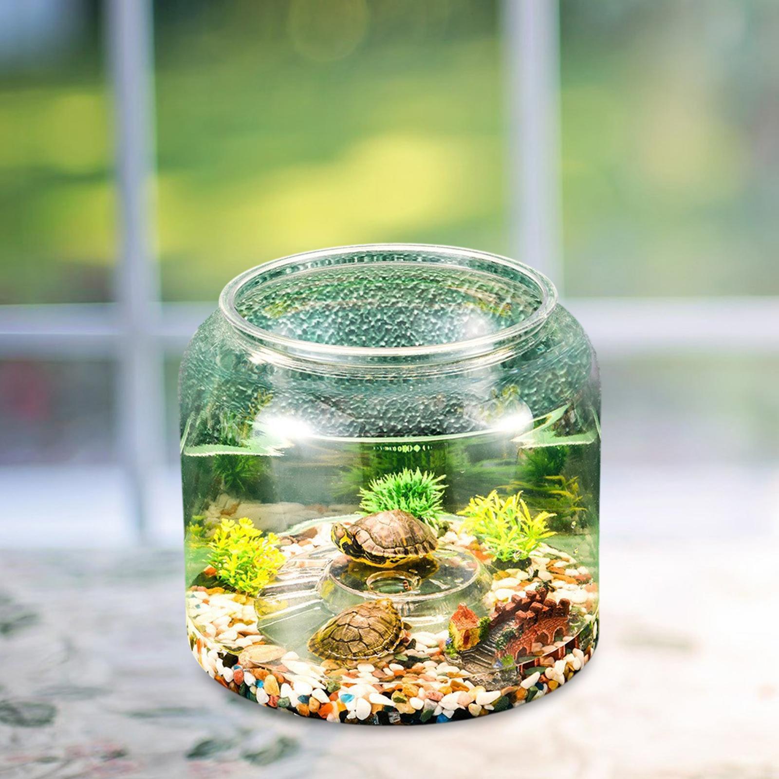 Schildkrötenbecken Tisch-Repti – Draw Fish Aquarium Bewertung und Preis