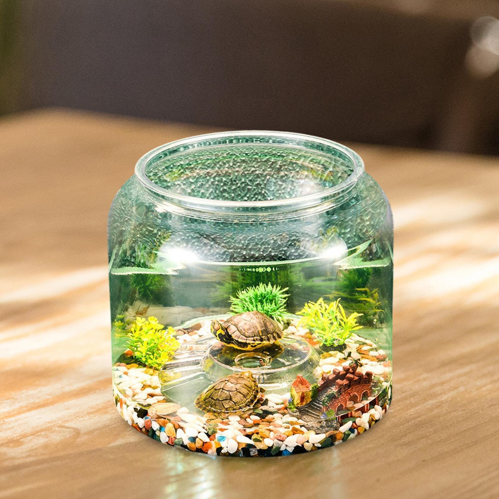 Schildkrötenbecken Tisch-Repti – Draw Fish Aquarium Bewertung und Preis