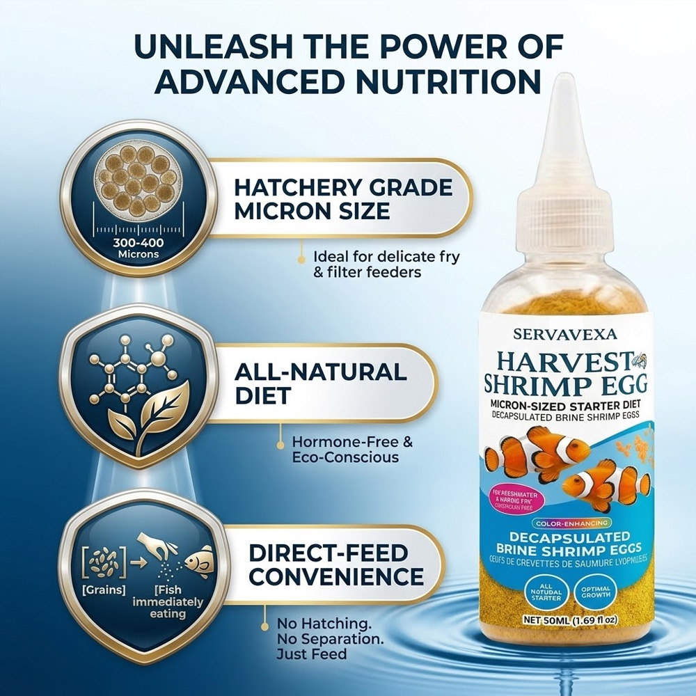 Hochwertiges Fischfutter für B – Aquarium Fish Medicine Bewertung und Preis