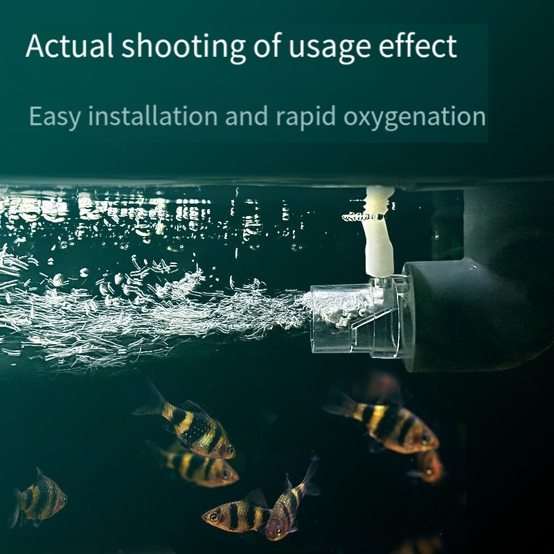 Sauerstoffdiffusor-Rohrfilter  – Aquarium Fish Without Oxygen Bewertung und Preis