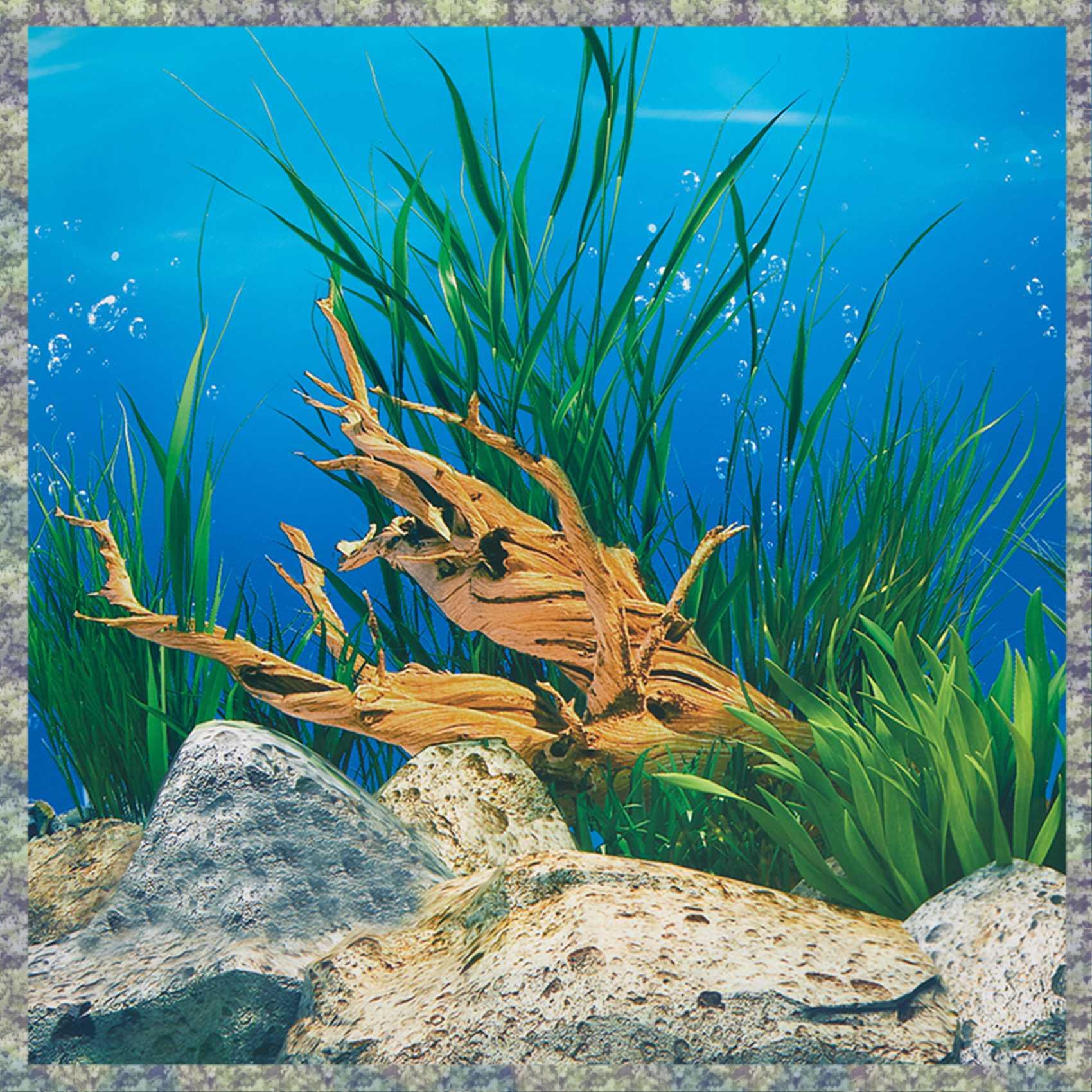 WON Aquarium Hintergrund Papie – Aquarium Fish Wallpaper Hd Bewertung und Preis