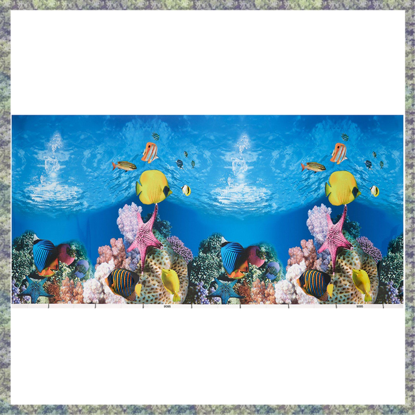 WON Aquarium Hintergrund Papie – Aquarium Fish Wallpaper Hd Bewertung und Preis